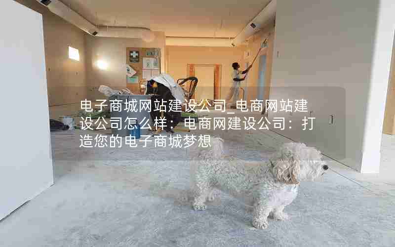 电子商城网站建设公司_电商网站建设公司怎么样：电商网建设公司：打造您的电子商城梦想