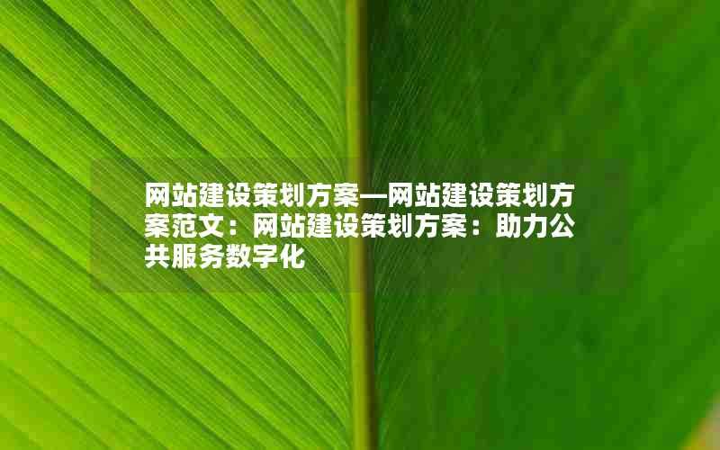 网站建设策划方案—网站建设策划方案范文：网站建设策划方案：助力公共服务数字化