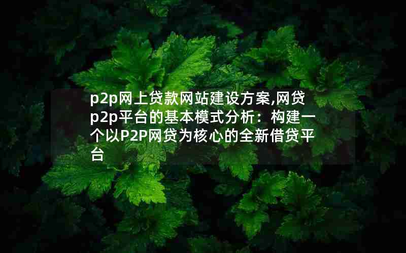 p2p网上贷款网站建设方案,网贷p2p平台的基本模式分析：构建一个以P2P网贷为核心的全新借贷平台