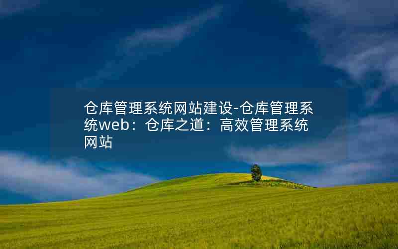 仓库管理系统网站建设-仓库管理系统web：仓库之道：高效管理系统网站