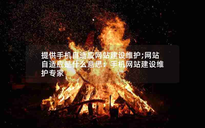 提供手机自适应网站建设维护;网站自适应是什么意思：手机网站建设维护专家