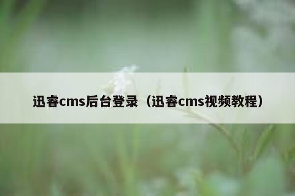 迅睿cms后台登录（迅睿cms视频教程）