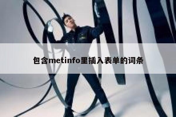 包含metinfo里插入表单的词条 第1张