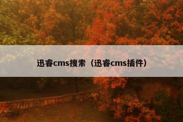 迅睿cms搜索（迅睿cms插件）