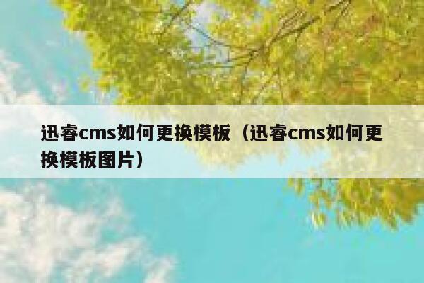 迅睿cms如何更换模板（迅睿cms如何更换模板图片）