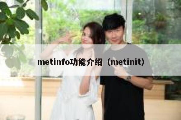 metinfo功能介绍（metinit）