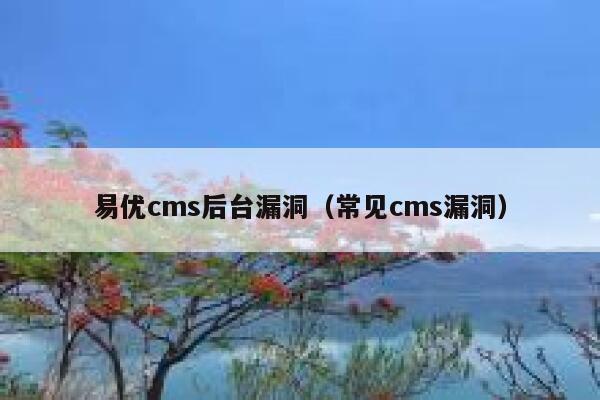 易优cms后台漏洞（常见cms漏洞）