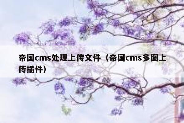 帝国cms处理上传文件（帝国cms多图上传插件）