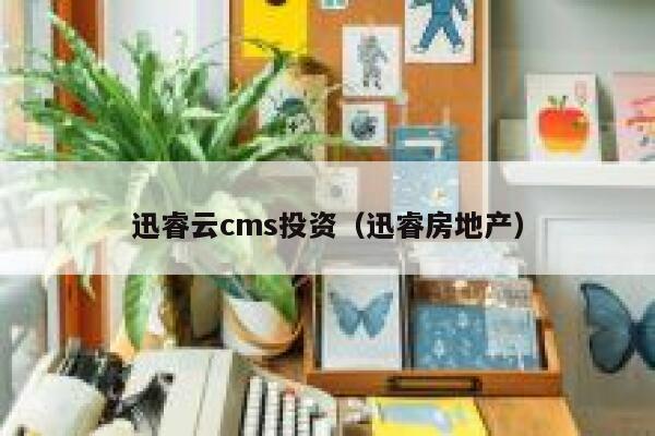 迅睿云cms投资（迅睿房地产）