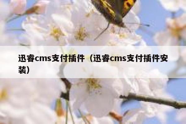 迅睿cms支付插件（迅睿cms支付插件安装）