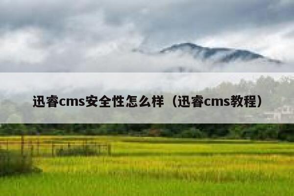 迅睿cms安全性怎么样（迅睿cms教程）