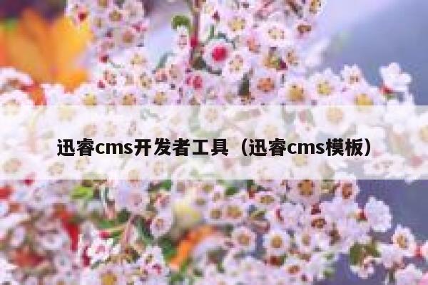 迅睿cms开发者工具（迅睿cms模板）