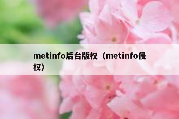 metinfo后台版权（metinfo侵权）