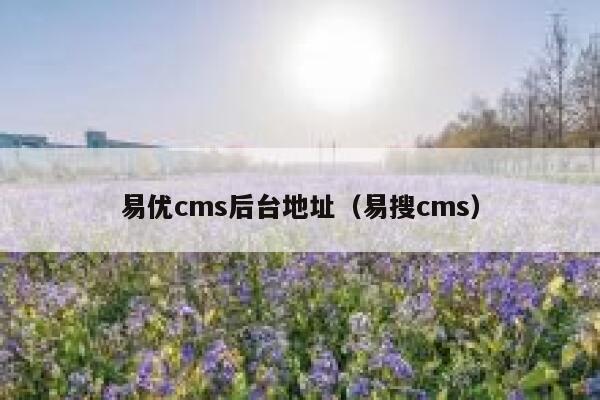 易优cms后台地址（易搜cms）