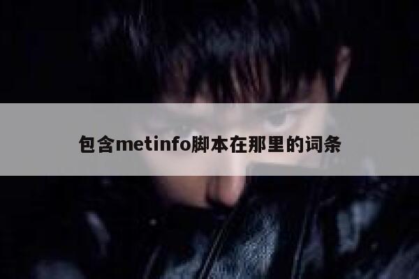 包含metinfo脚本在那里的词条 第1张