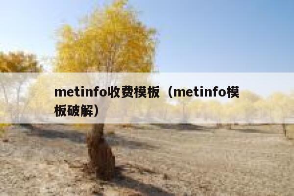 metinfo收费模板（metinfo模板破解）