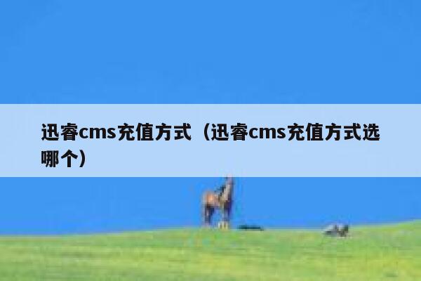 迅睿cms充值方式（迅睿cms充值方式选哪个）