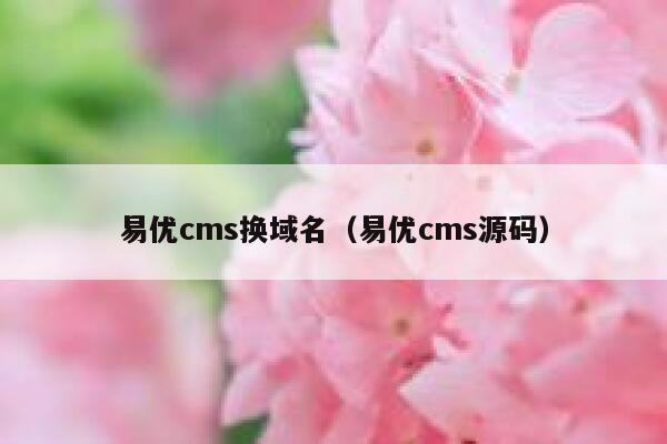 易优cms换域名（易优cms源码）