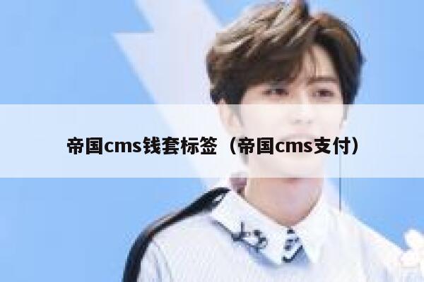 帝国cms钱套标签（帝国cms支付）