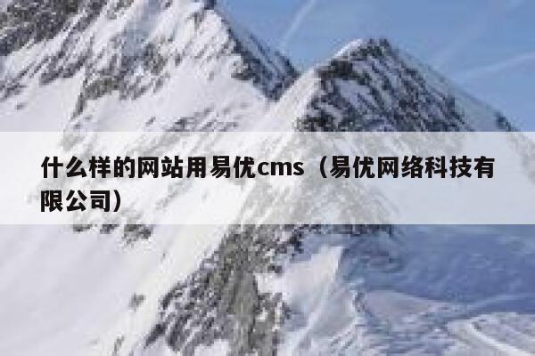 什么样的网站用易优cms（易优网络科技有限公司）