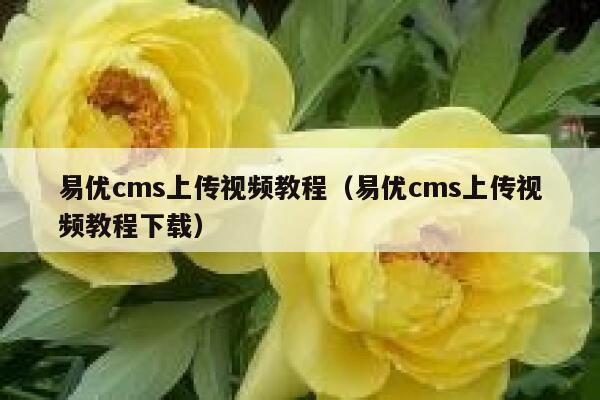 易优cms上传视频教程（易优cms上传视频教程下载）