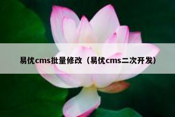 易优cms批量修改（易优cms二次开发）