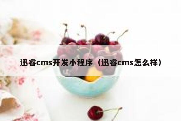 迅睿cms开发小程序（迅睿cms怎么样）