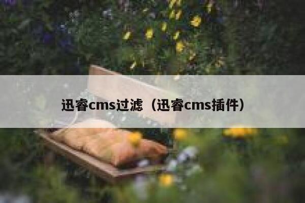 迅睿cms过滤（迅睿cms插件）