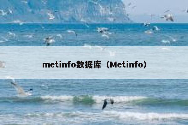 metinfo数据库（Metinfo）