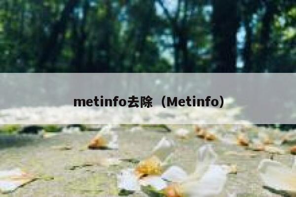 metinfo去除（Metinfo）