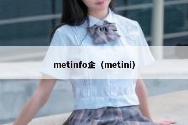 metinfo企（metini）