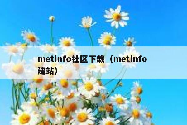 metinfo社区下载（metinfo 建站）