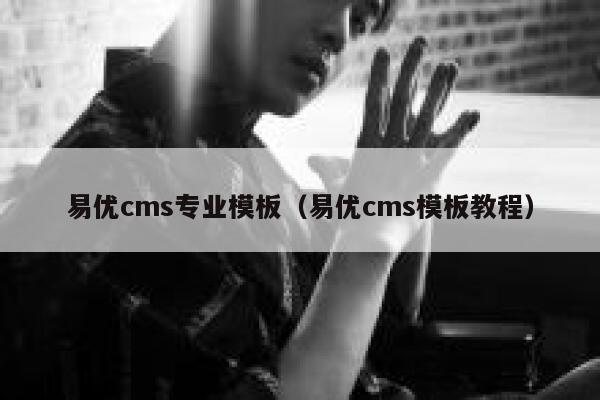 易优cms专业模板（易优cms模板教程）