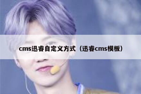 cms迅睿自定义方式（迅睿cms模板）