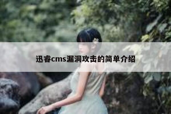 迅睿cms漏洞攻击的简单介绍