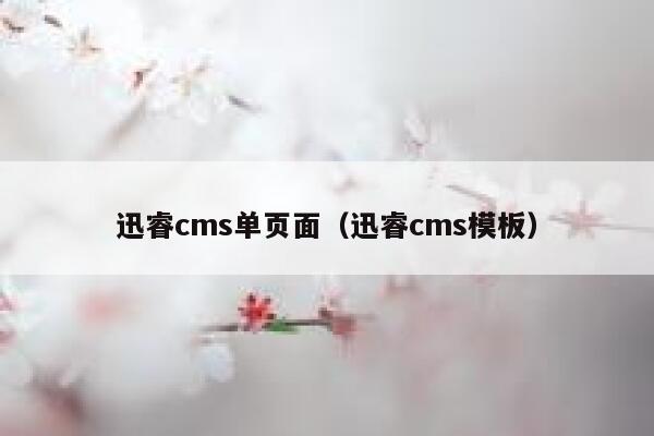 迅睿cms单页面（迅睿cms模板）