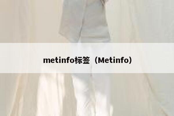 metinfo标签（Metinfo）