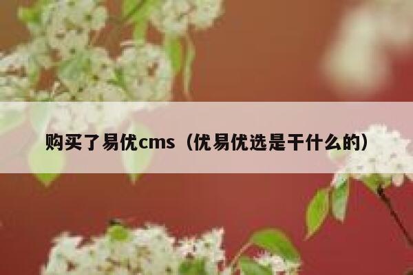 购买了易优cms（优易优选是干什么的）