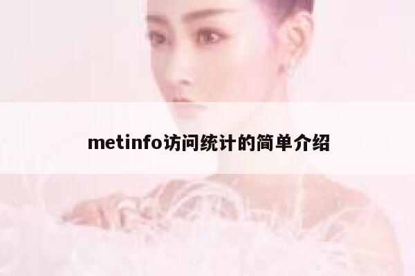 metinfo访问统计的简单介绍 第1张