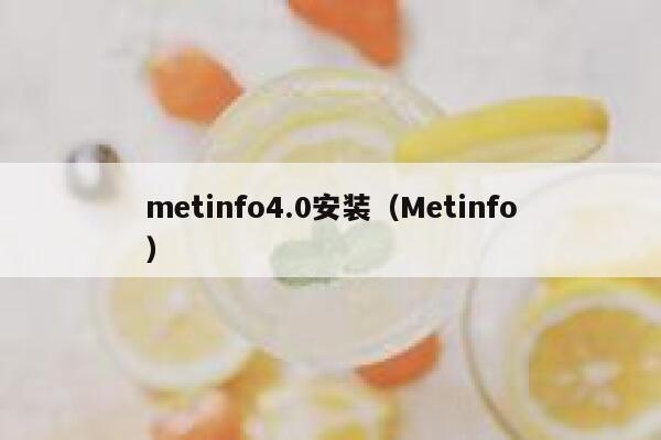 metinfo4.0安装（Metinfo）