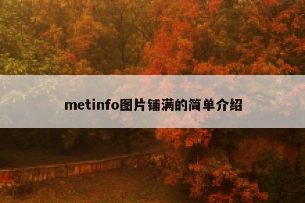 metinfo图片铺满的简单介绍