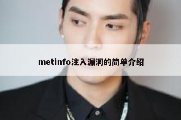 metinfo注入漏洞的简单介绍 第1张