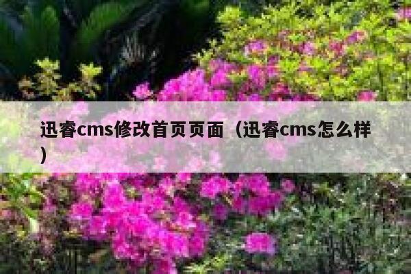 迅睿cms修改首页页面（迅睿cms怎么样）