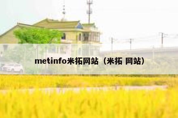 metinfo米拓网站（米拓 网站）