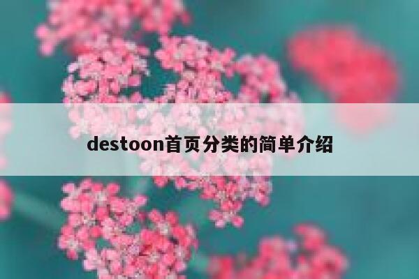 destoon首页分类的简单介绍