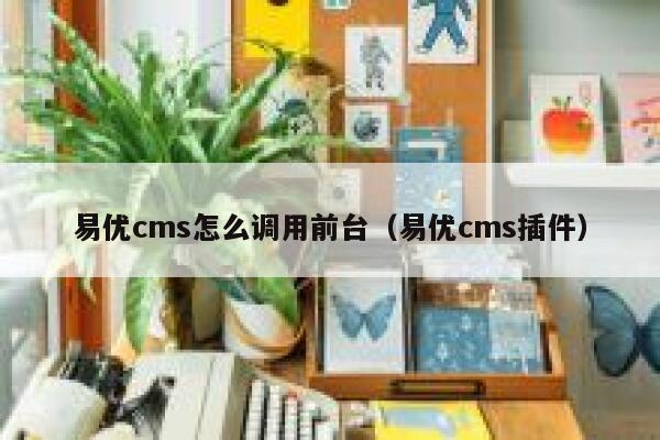 易优cms怎么调用前台（易优cms插件）