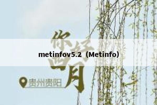 metinfov5.2（Metinfo）