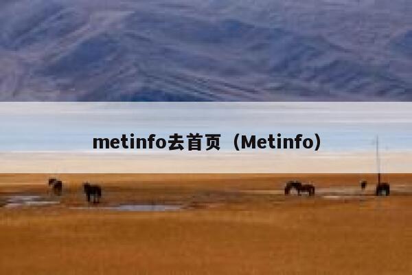 metinfo去首页（Metinfo）