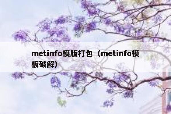 metinfo模版打包（metinfo模板破解）