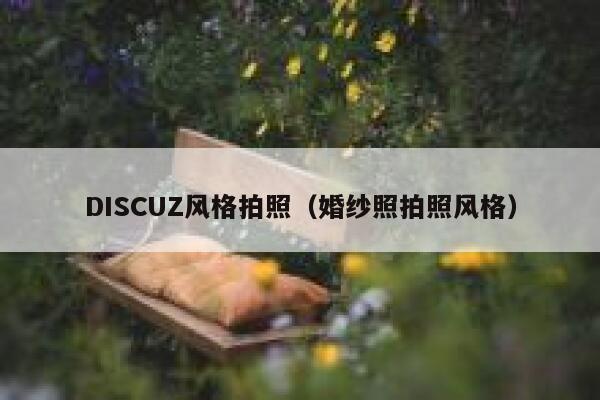 DISCUZ风格拍照（婚纱照拍照风格）